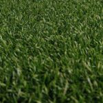 Drainage artificial Turf